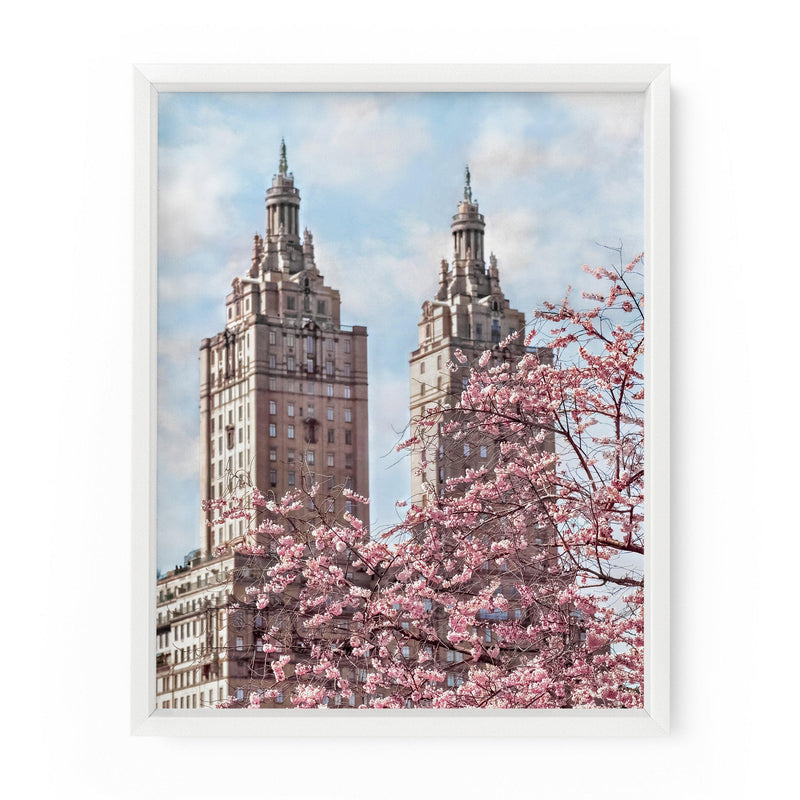 Central Park Cherry Blossoms | Fine Art Print