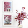 Central Park West Cherry Blossoms | Fine Art Print