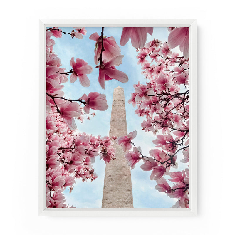 Cleopatra's Needle Magnolias (Central Park) | Fine Art Print