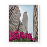 Empire State Tulips | Fine Art Print