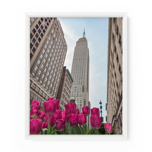 Empire State Tulips | Fine Art Print