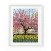 Park Avenue Blossoms | Fine Art Photography Print
