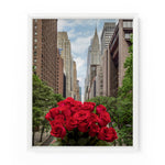 Tudor City Roses | Fine Art Photography Print