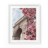 Washington Square Arch Magnolias | Fine Art Print